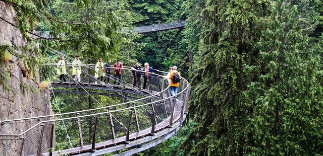 Capilano Suspension Bridge Park