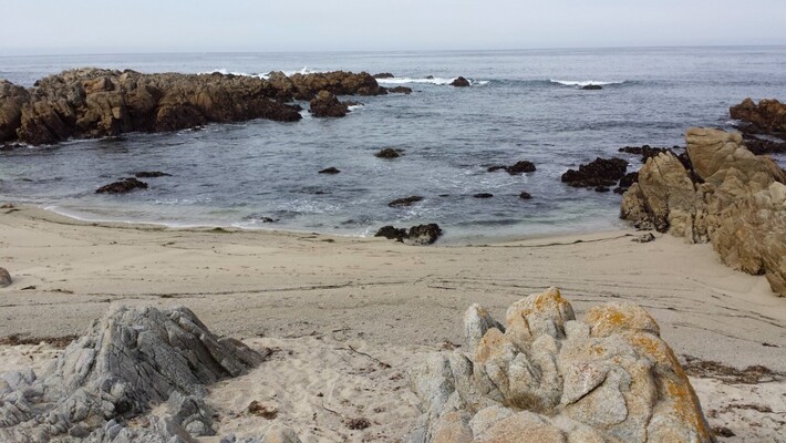 Asilomar State Beach