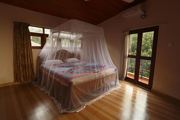 Blue Haven Guest House