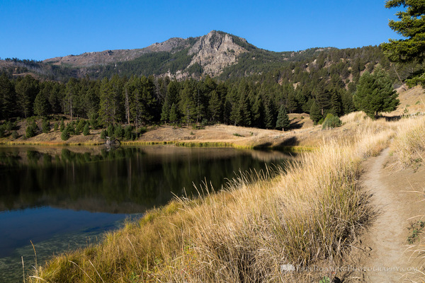 Beaver Ponds Loop Trail