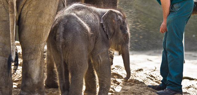 Tierpark Hagenbeck