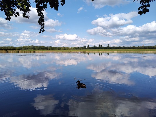 Port Meadow