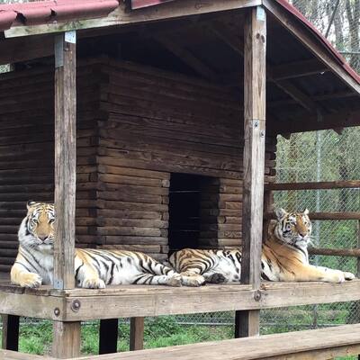 Catty Shack Ranch Wildlife Sanctuary