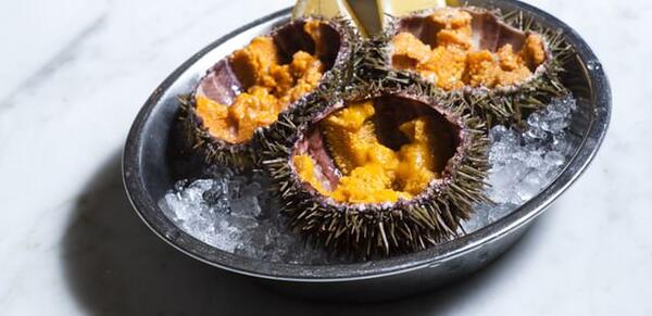 The 15 best restaurants in Boston (as chosen by critics)
