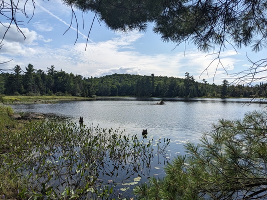 Gatineau Park