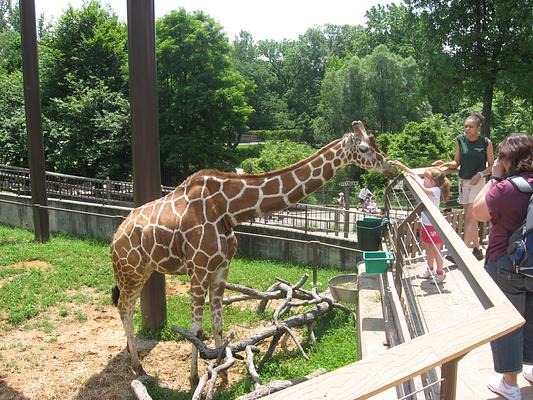 The Maryland Zoo