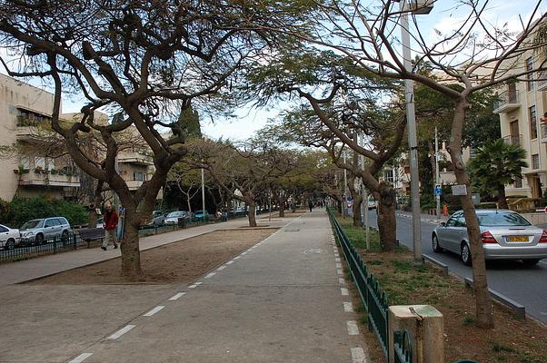 Rothschild Boulevard