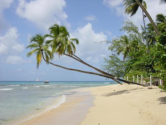 Mullins Beach