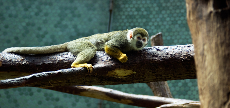 Tierpark Hellabrunn