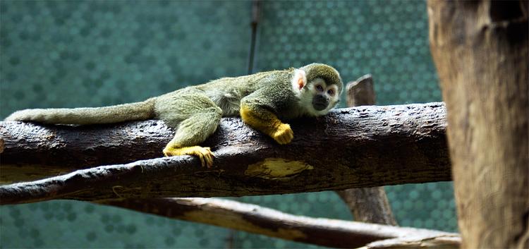 Munchener Tierpark Hellabrunn