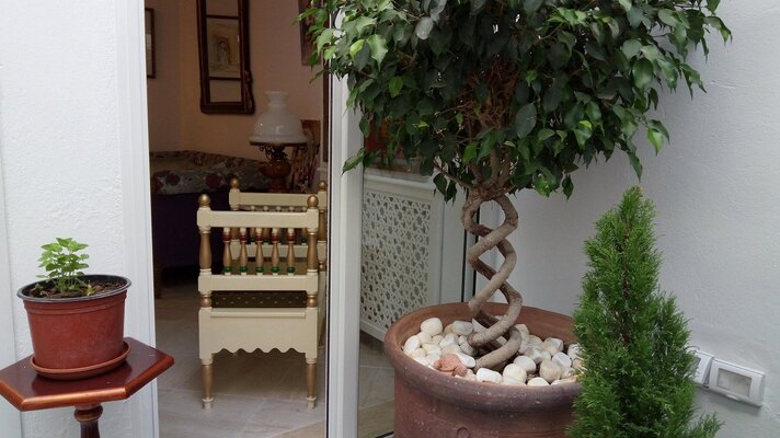 El Patio Courtyard House Tunis