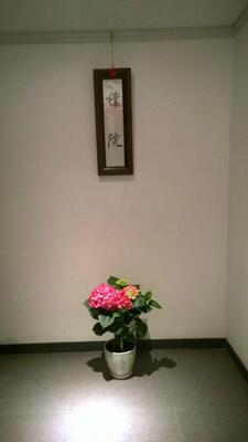 The Hotel "Zen" Urban Resort