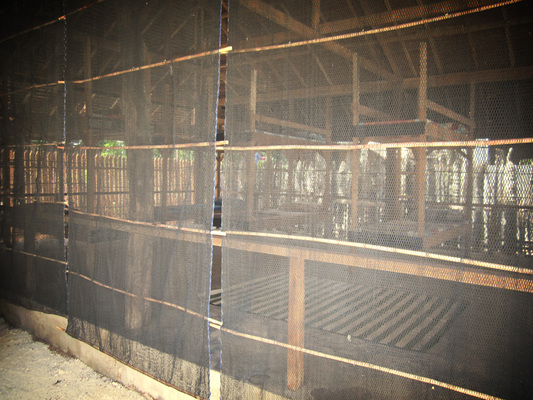 Paglaom Hostel