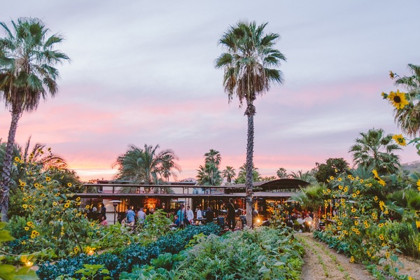 Flora Farms