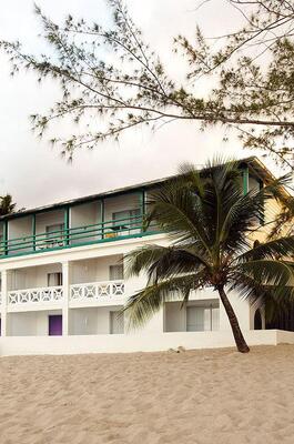 Starfish Discovery Bay