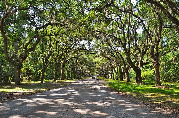 Wormsloe Historic Site