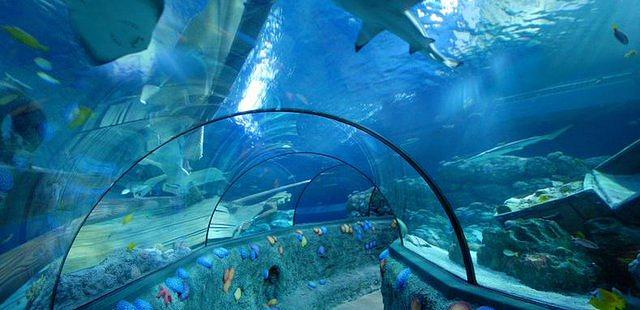 SEA LIFE Orlando Aquarium