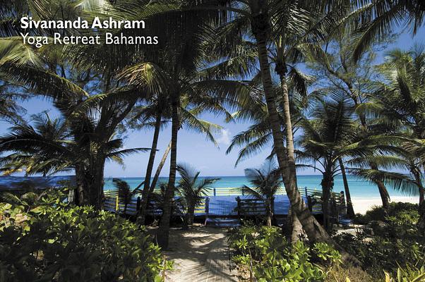 Sivananda Ashram Yoga Retreat Bahamas