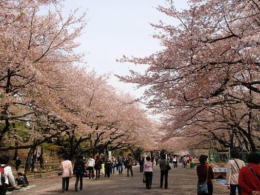 Ueno Park