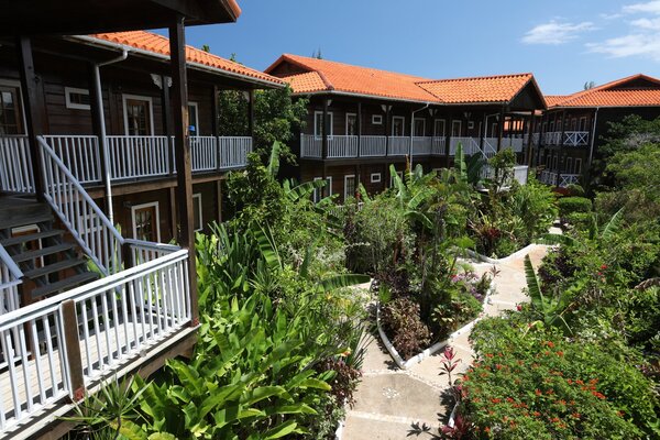 Mangos Jamaica