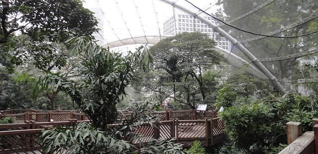 Edward Youde Aviary