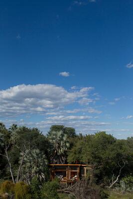 Camp Okavango