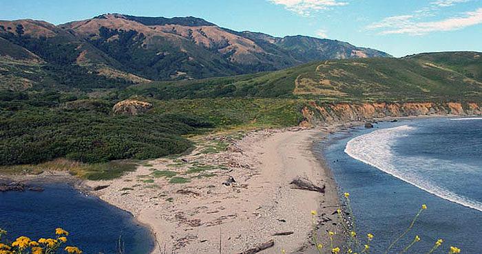 Andrew Molera State Park