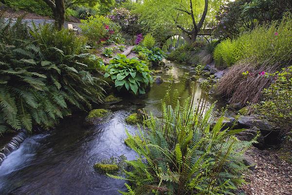 Crystal Springs Rhododendron Garden