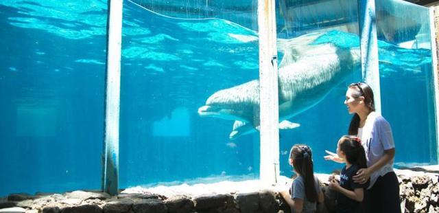 Sea Life Park Hawaii