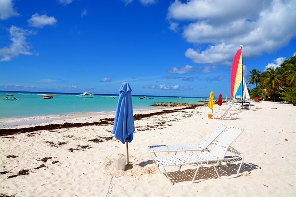 Dover Beach