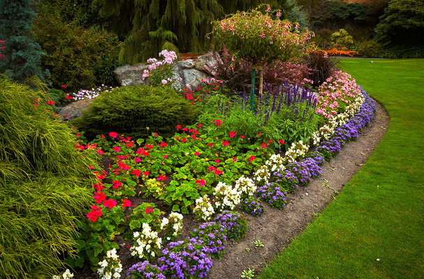 Queen Elizabeth Park