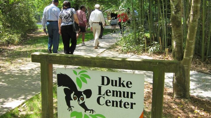Duke Lemur Center