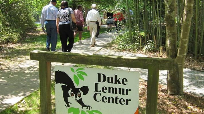 Duke Lemur Center