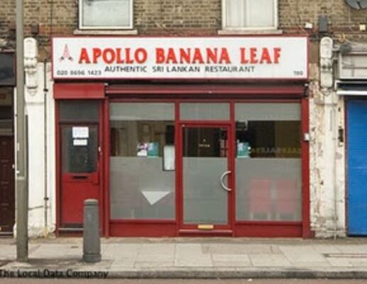 Apollo Banana Leaf