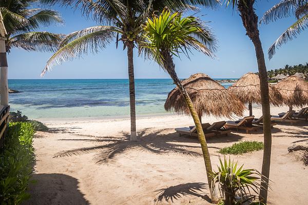 El Pez Boutique Hotel