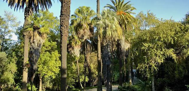 Jardim Botanico Da Universidade De Lisboa
