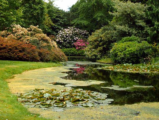 Trompenburg Gardens & Arboretum