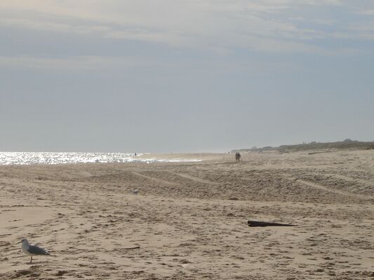 Atlantic Avenue Beach