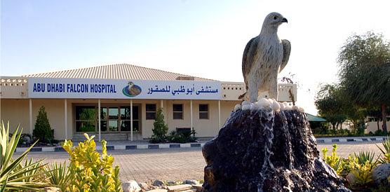 Abu Dhabi Falcon Hospital