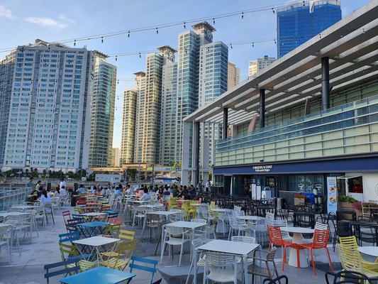 The Bay 101 Yacht Club