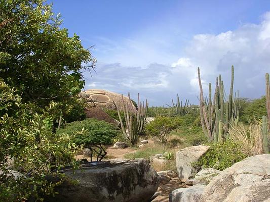 Arikok National Park