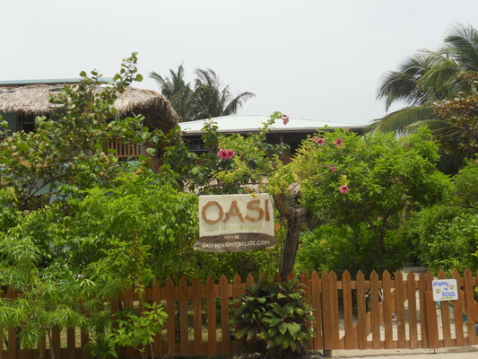 OASI