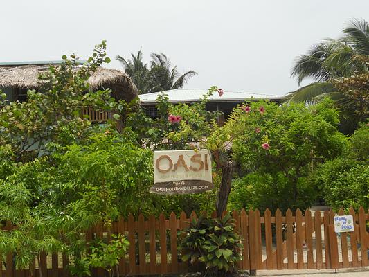 OASI