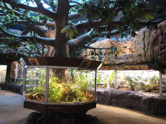 Skansen - Akvariet