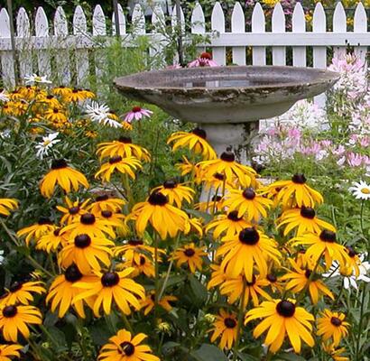 Morrison House Bed & Breakfast