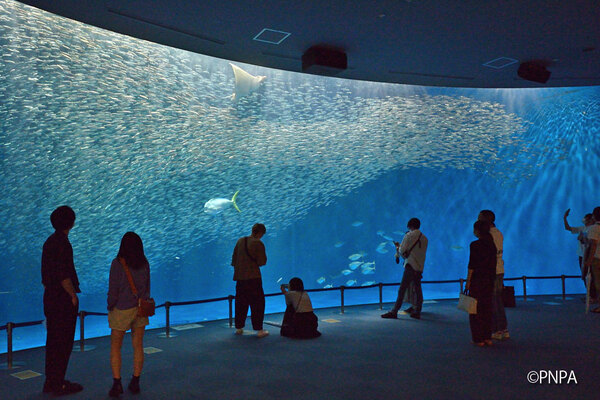 Port of Nagoya Public Aquarium
