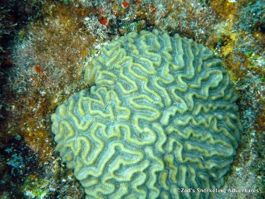 Surfer's Point Guest House