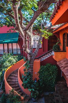 Collection O Casa Bella Hotel Boutique, Cabo San Lucas