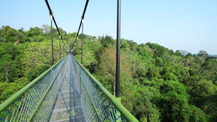 MacRitchie Nature Trail