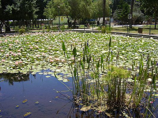 Gan Meir Park